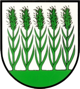 Wappen von Binswangen